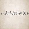 www.tiktok.12242