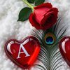 azhar.ali_211