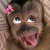 rafaele_viana0