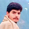 gulhayatking