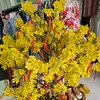 dongnguyen5398