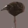 tezkej_enrisa