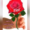 flore82973