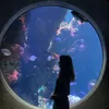 annie’s shark facts!★
