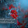 user2551512266794