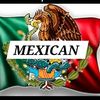 javiervargas446