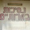נסיכות בארותיים👸🏻🩷
