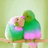 hamdslah7