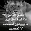 asdss991