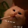nguyngiahng703