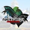 panuwat_betta