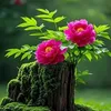 user8546117549201