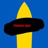 medved_228_tv