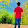 basharmalik1357