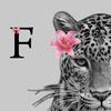 farha.med6