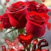 mdasif.akbber