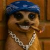 icemoney_2