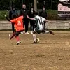 paoloranieli23