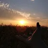 alanwalker8788