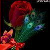 user338306811448