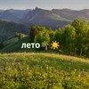 leto_yra