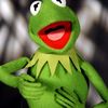 kermithefrog799