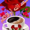 mohammedsardal2