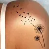 danielapaz199