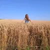 anna254209