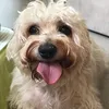 maggie..backup1