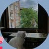 jana_elsayed_93