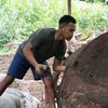 enal_83