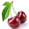 cherry_m.00