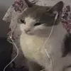 <3