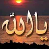 aass_as13
