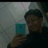 vladinn_silva