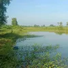 huynhbaythep