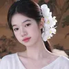 nt_tn07