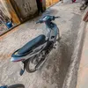 hongngduyanh