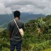 sinfruit9