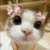 betzabe_ff20