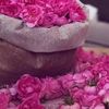 alreem488