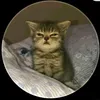 quyen_hakate