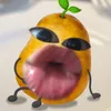 0qopqopqop0