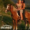 user2953149785499