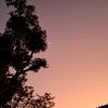 in_090409