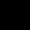 pt_bri9