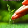 user53314200