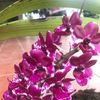 thangnguyen8171