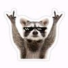 hafsa.nur53